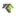 Favicon:  , 