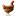 Favicon:    
