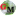 Favicon: , 
