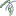 Favicon:   , 