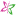 Favicon: , 