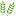 Favicon: -, 