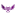 Favicon:     , 