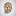 Favicon: �Ϡ�������� ��������� ����������