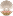 Favicon: ���������, ���